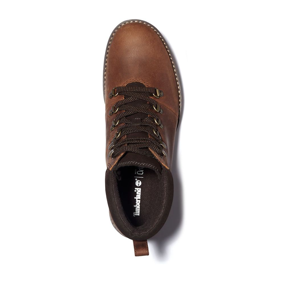 Botas de Caminhada Feminino - Timberland Ellendale - WODVP1790 - Marrom